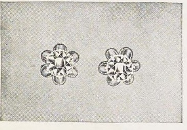 Catalog evidence for Diamond Ear Screws — Grade A · No. 90445