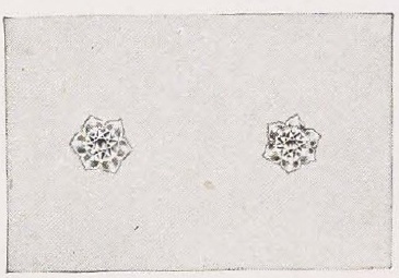 Catalog evidence for Diamond Ear Screws — Grade A · No. 90453