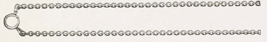 Catalog evidence for Neck Chain · No. 91109