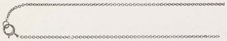 Catalog evidence for Neck Chain · No. 91128
