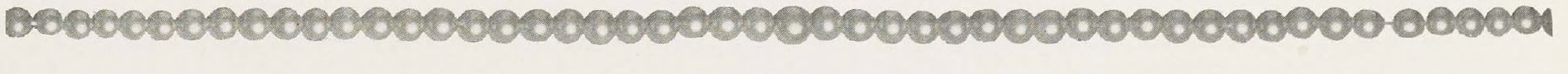 Catalog evidence for Richelieu Pearl Necklace · No. 91156