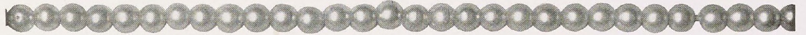 Catalog evidence for Pearl Necklace · No. 91172