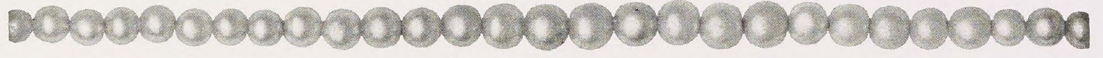 Catalog evidence for Pearl Necklace · No. 91174