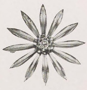 Catalog evidence for Brooch · No. 91306