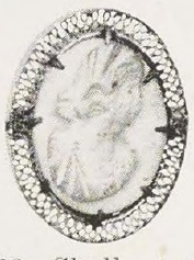 Catalog evidence for Shell Cameo Brooch · No. 91326