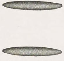 Catalog evidence for Beauty Pin · No. 91406