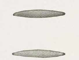 Catalog evidence for Beauty Pin · No. 91408