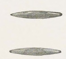 Catalog evidence for Beauty Pin · No. 91409