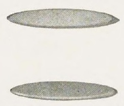 Catalog evidence for Beauty Pin · No. 91410