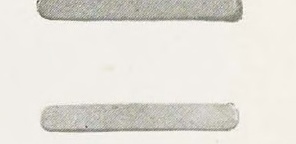Catalog evidence for Beauty Pin · No. 91417