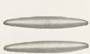 Catalog evidence for Beauty Pin · No. 91423