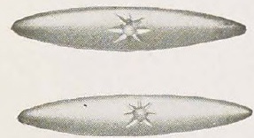 Catalog evidence for Beauty Pin · No. 91424