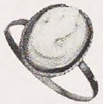 Catalog evidence for Ring · No. 91510
