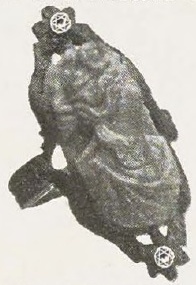 Catalog evidence for Cameo Ring · No. 91576