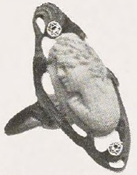 Catalog evidence for Cameo Ring · No. 91578