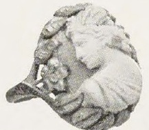 Catalog evidence for Cameo Ring · No. 91582