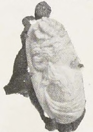 Catalog evidence for Cameo Ring · No. 91583