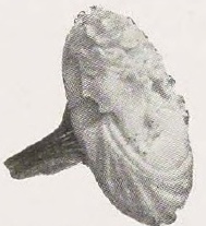 Catalog evidence for Cameo Ring · No. 91585