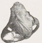 Catalog evidence for Cameo Ring · No. 91592