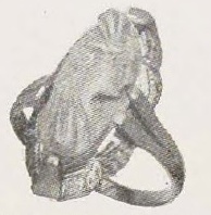 Source illustration