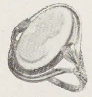 Catalog evidence for Cameo Ring · No. 91603