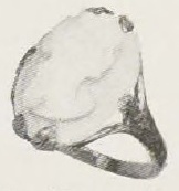 Catalog evidence for Cameo Ring · No. 91606