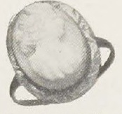 Catalog evidence for Cameo Ring · No. 91607