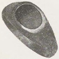 Source illustration