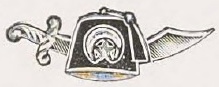 Catalog evidence for Emblem Pin · No. 91863