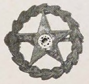 Catalog evidence for Emblem Pin · No. 91913