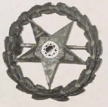 Catalog evidence for Emblem Pin · No. 91914