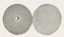 Catalog evidence for Link Buttons · No. 91924