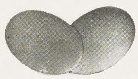 Catalog evidence for Link Buttons · No. 91938