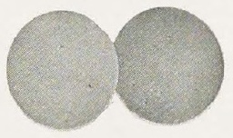 Catalog evidence for Link Buttons · No. 91939