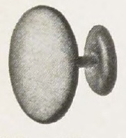 Catalog evidence for Link Buttons · No. 91963