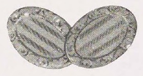 Catalog evidence for Link Buttons · No. 91974
