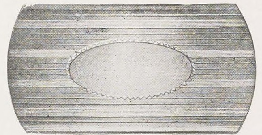 Catalog evidence for Men’s Belt · No. 92180S