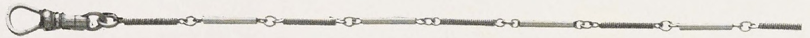 Catalog evidence for Waldemar Watch Chain · No. 92318