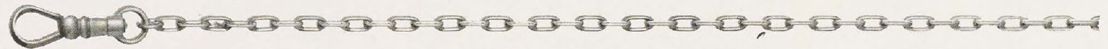 Catalog evidence for Waldemar Watch Chain · No. 92324