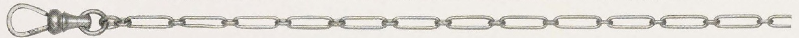 Catalog evidence for Waldemar Watch Chain · No. 92325