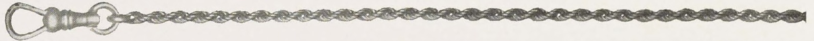 Catalog evidence for Waldemar Watch Chain · No. 92328