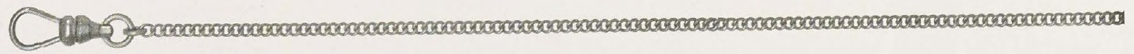 Catalog evidence for Waldemar Watch Chain · No. 92329