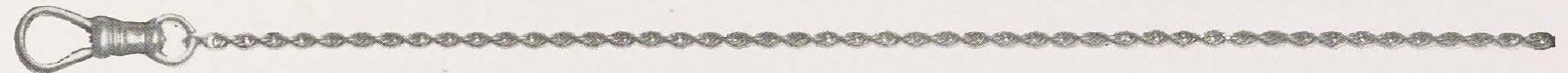 Catalog evidence for Solid Gold Waldemar Watch Chain · No. 92351