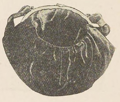 Catalog evidence for Black Velvet Bag · No. 810/468