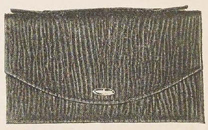 Catalog evidence for Strap Handle Purse · No. 810/481