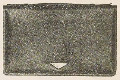 Catalog evidence for Strap Handle Purse · No. 810/484