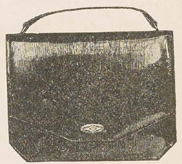 Catalog evidence for Strap Handle Purse · No. 810/343