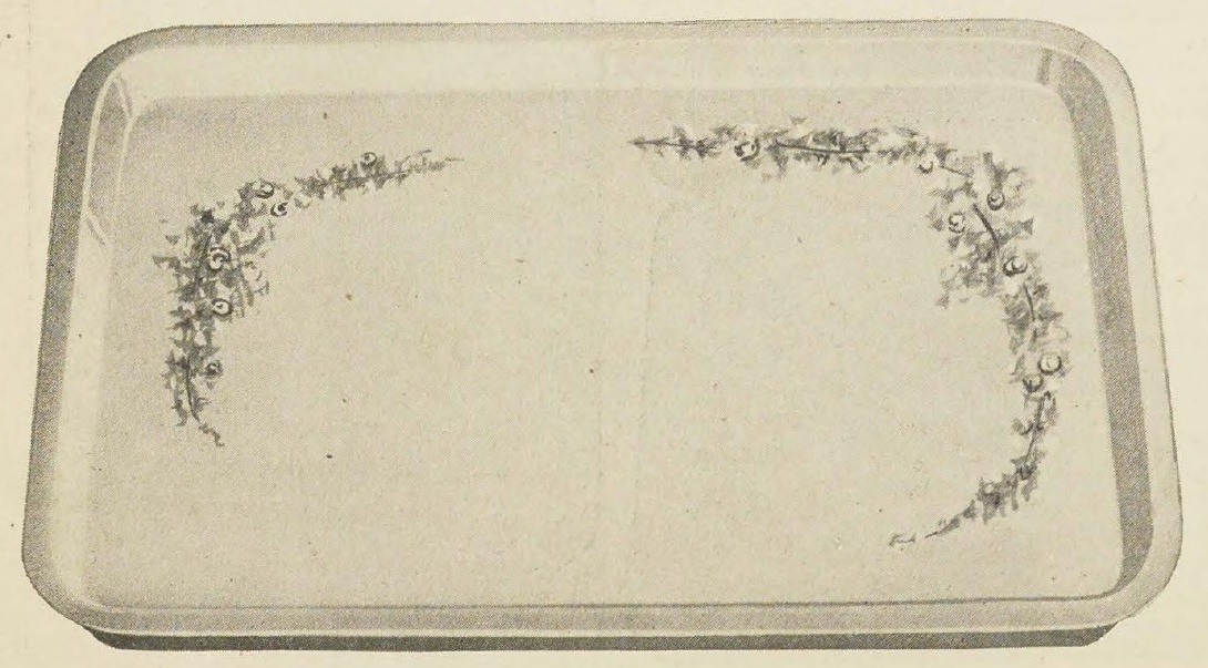 Catalog evidence for Dresser Tray · No. 93826