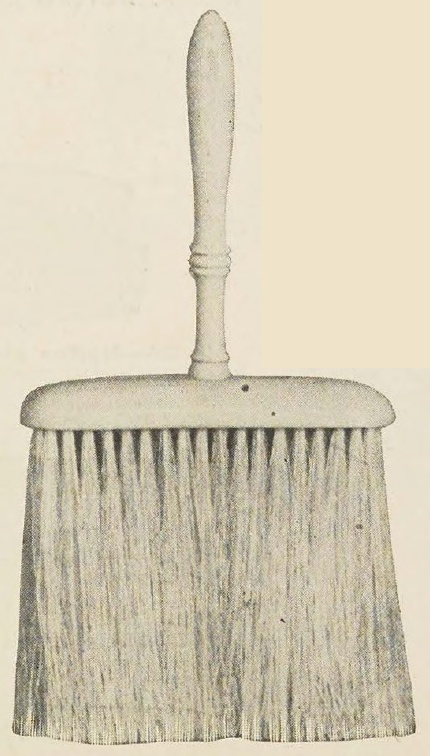 Catalog evidence for Bonnet Brush · No. 93973