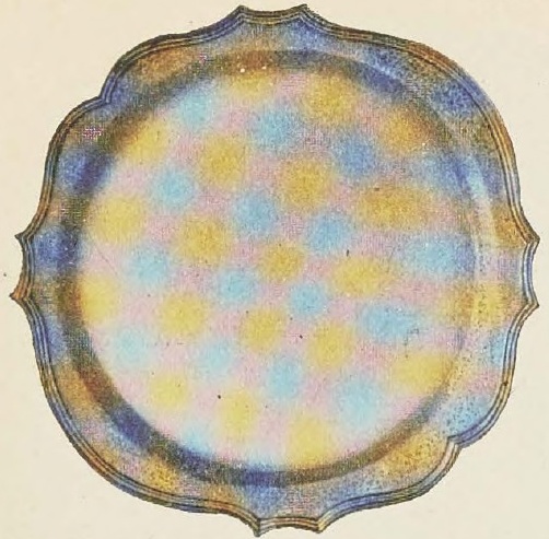 Catalog evidence for Chop Platter